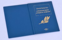 Свидетельство "Лучший по профессии"