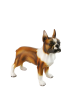 Бостонский терьер