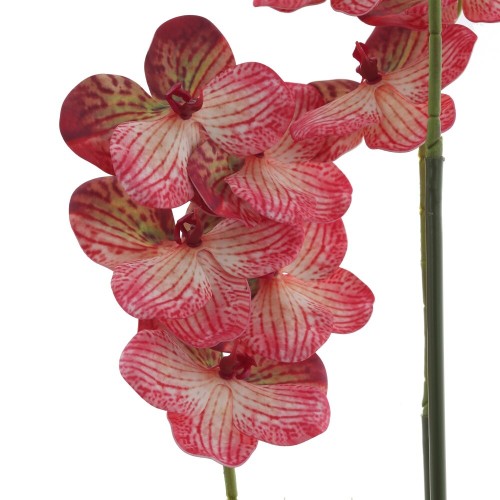 Цветочная композиция, L W H108 см