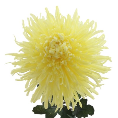 Цветок искусственный "Астра", L20 W20 H85 см