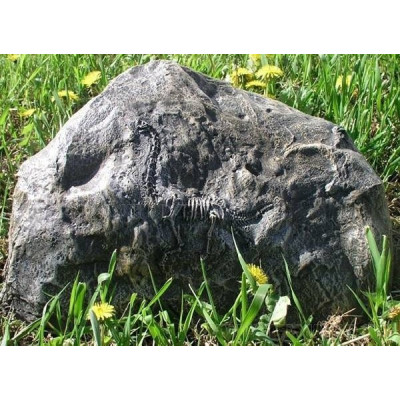 Декоративный камень с динозавром 