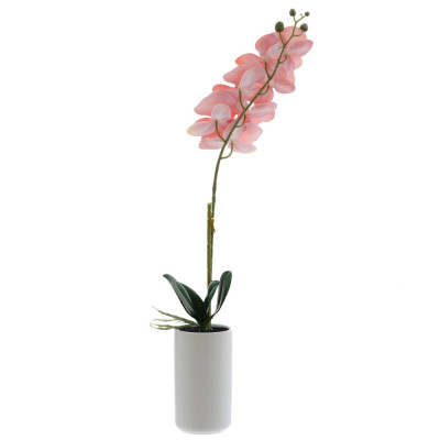 Цветочная композиция, L W H56 см