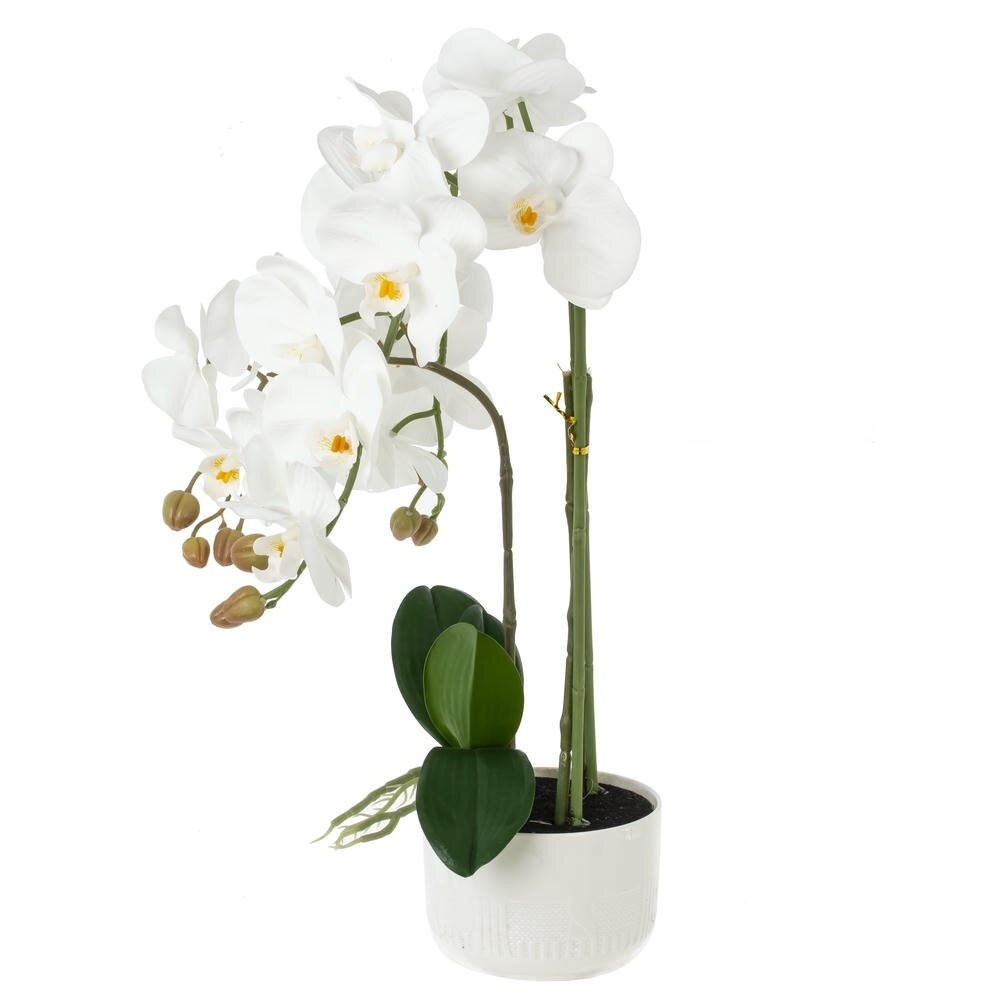 Цветочная композиция, L W H50 см Цветочная композиция, L W H50 см