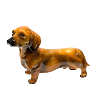 Такса красно-коричневая