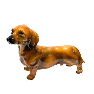 Такса красно-коричневая