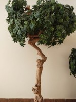 Декоративное дерево "Клён"