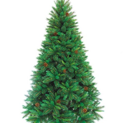 Ель "Спрингфилд" h240см