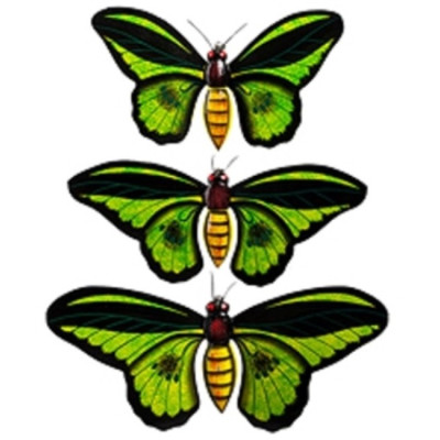 Панно "Зеленые бабочки" 