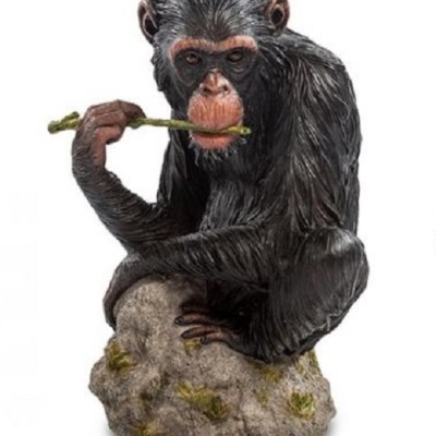 Статуэтка "Шимпанзе на камне" Статуэтка "Шимпанзе на камне"