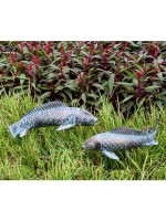 Фигуры садовые Рыбы (пара)