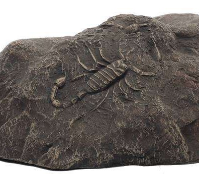 Декоративный камень со скорпионом