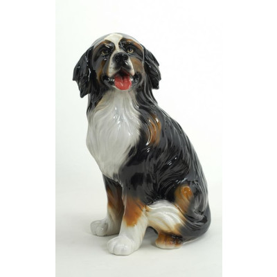 Зенненхунд Бернский