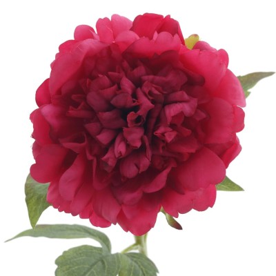 Цветок искусственный "Пион" (Real Touch), L17 W15 H58 см