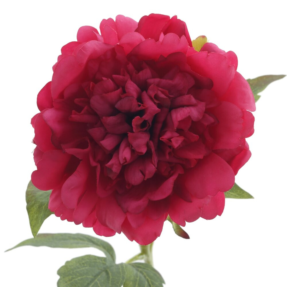 Цветок искусственный "Пион" (Real Touch), L17 W15 H58 см