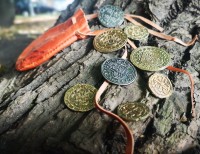 Мешочек с монетами "Золото пиратов"     