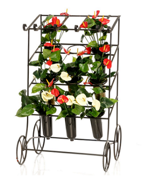 Цветочница "Фьюжн"