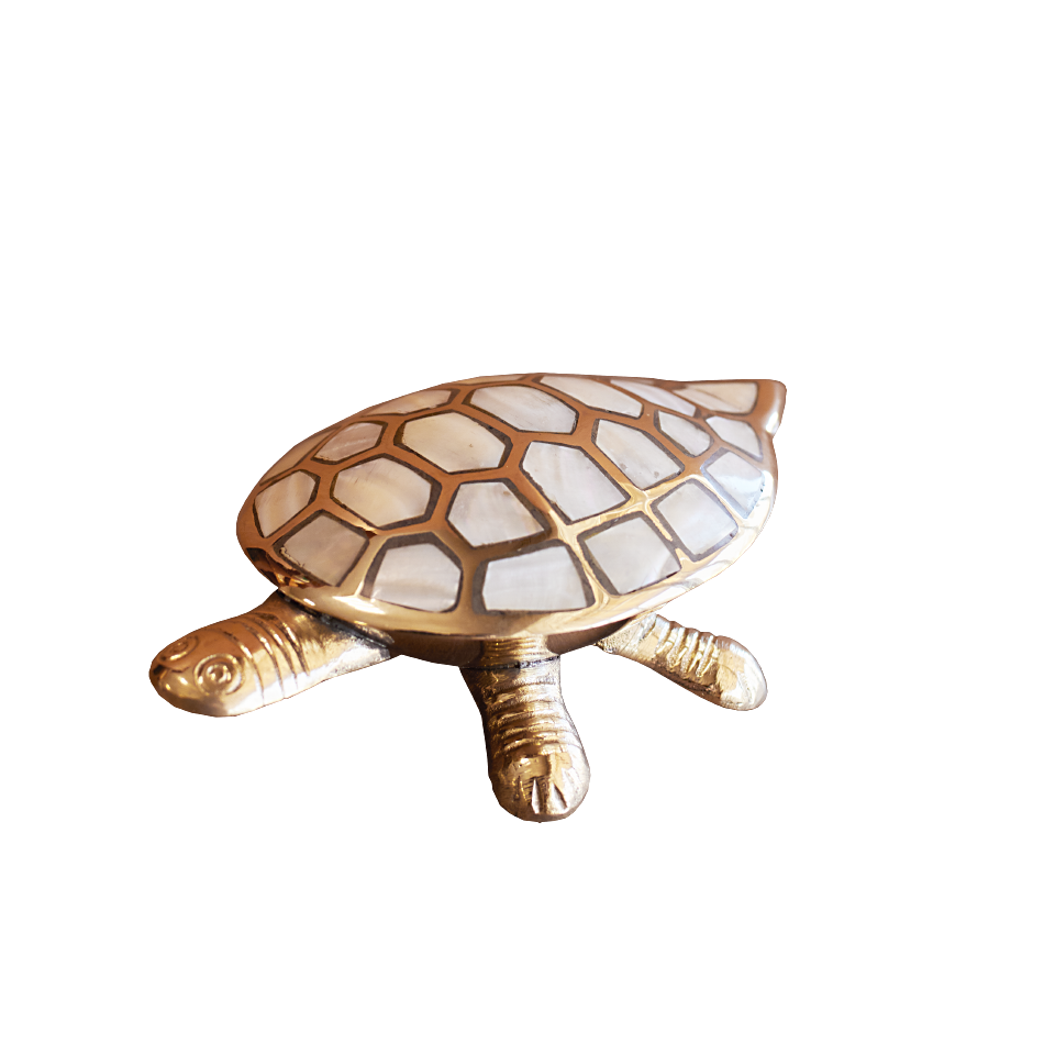 Шкатулка 'Черепаха'