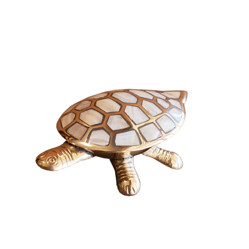 Шкатулка 'Черепаха'
