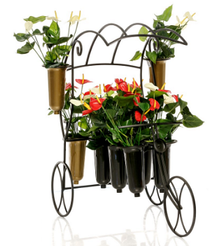 Цветочница "Rotterdam"