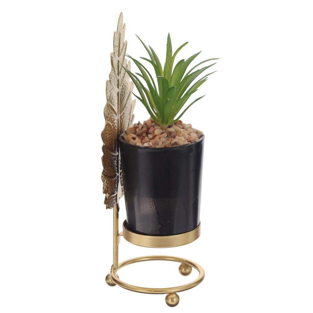 Цветочная композиция "Суккулент", L8 W7 H20 см