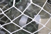 Авоська "Стойкость"