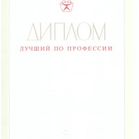 Диплом "Лучший по профессии"