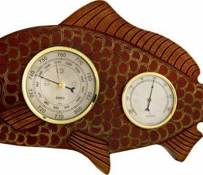Домашняя метеостанция "Fish"