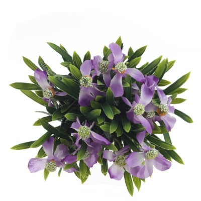 Цветочная композиция, L18 W18 H26 см
