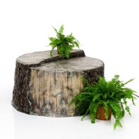 Декоративная крышка для люка "Вековой пень"             