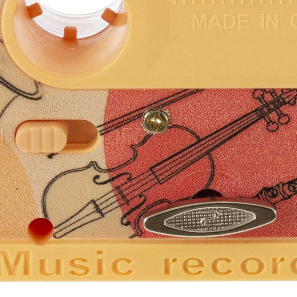 Шкатулка (музык.), L17,5 W5 H11 см