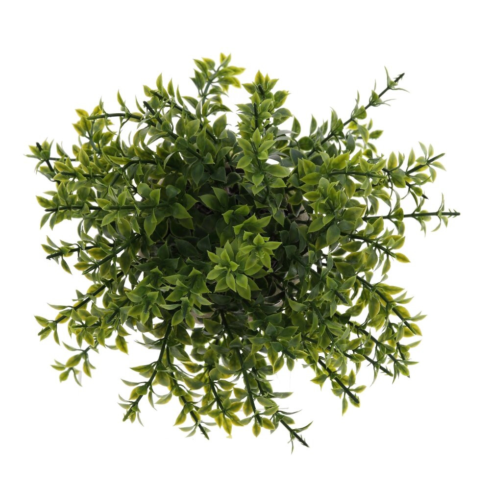 Цветочная композиция, L20 W20 H17 см