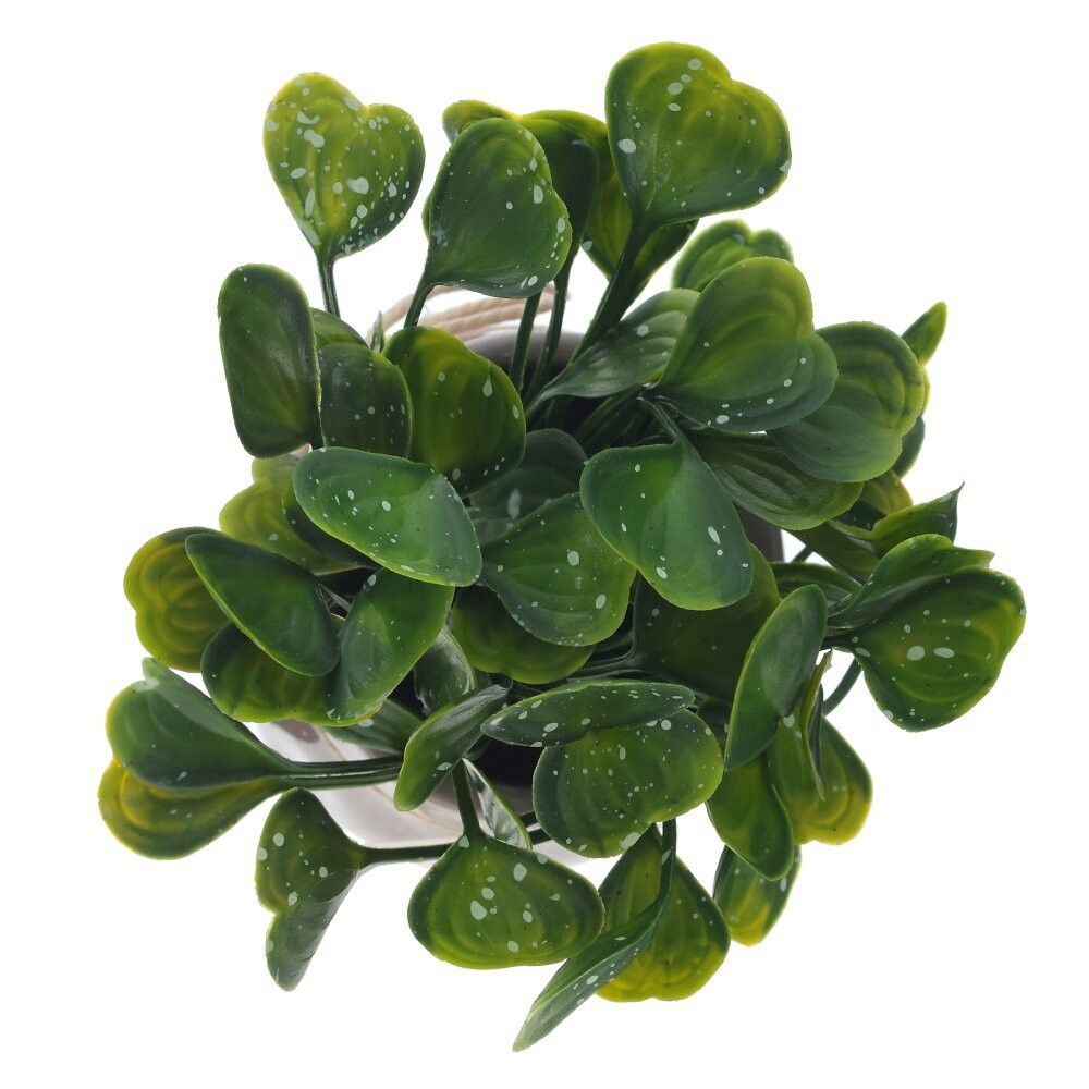 Цветочная композиция, L12 W12 H18 см