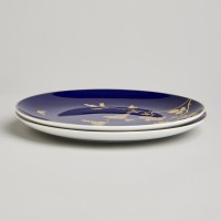 Набор закусочных тарелок из 2-х штук "GOLDEN BIRDS" 22 см.