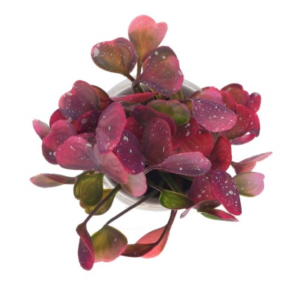 Цветочная композиция, L12 W12 H18 см