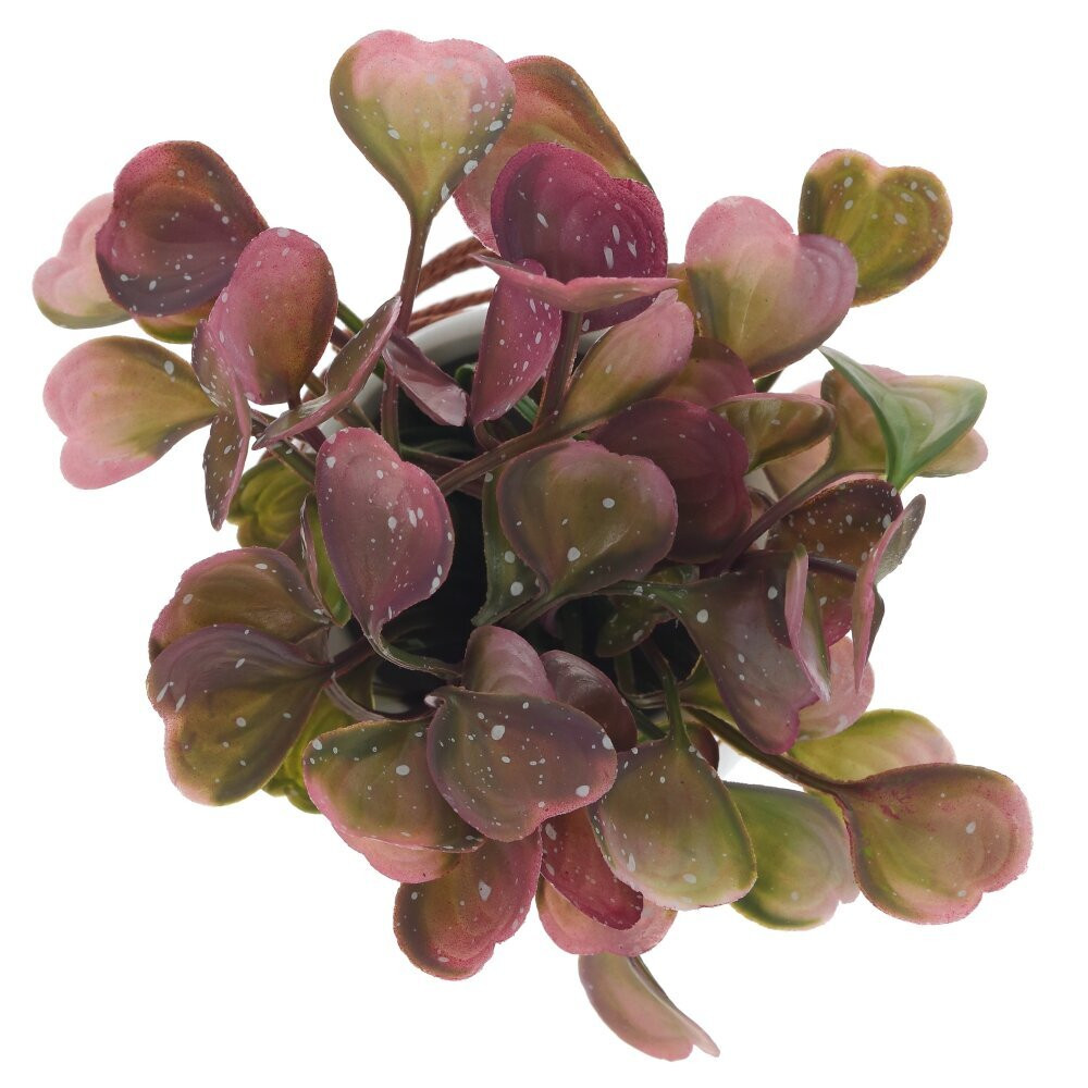 Цветочная композиция, L12 W12 H18 см