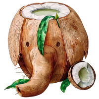 Чай в кокосовом орехе