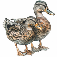 Статуэтки уток