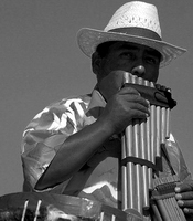 Духовые инструменты