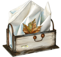 Салфетницы