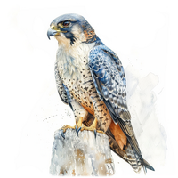 Статуэтки соколов